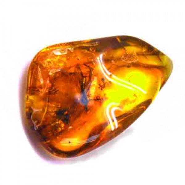 Amber premium quality