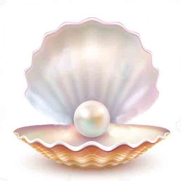 Pearl high polished